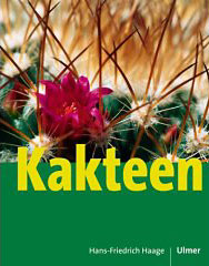 Kaktus