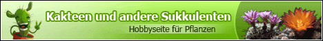 Kakteen und andere Sukkulenten