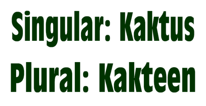 Kaktus Mehrzahl – Plural