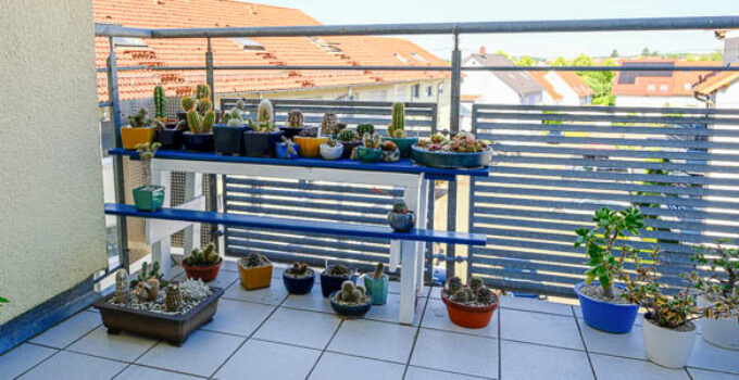 Großputz auf dem Kakteen-Balkon